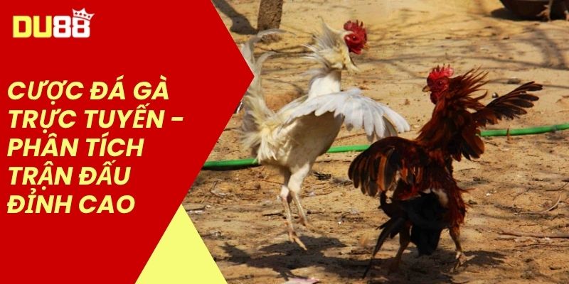 Cược đá gà Trực Tuyến